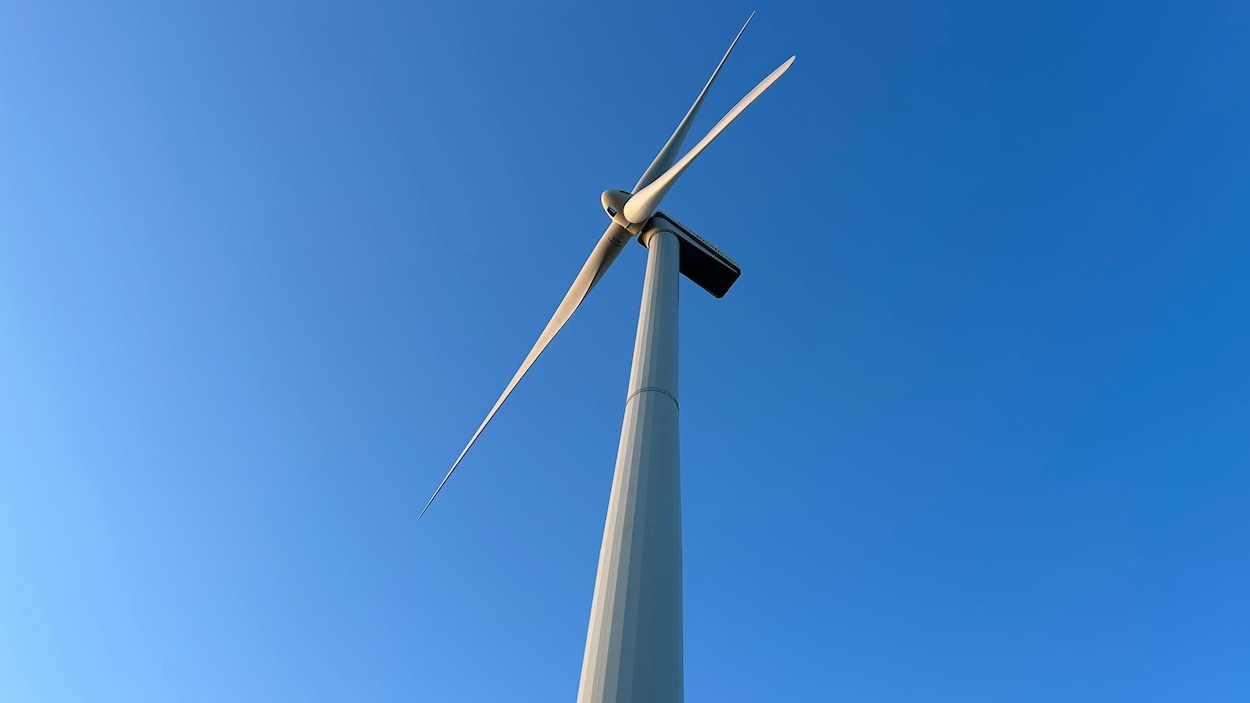 Le projet de parc éolien de Grosse-Île se resserre