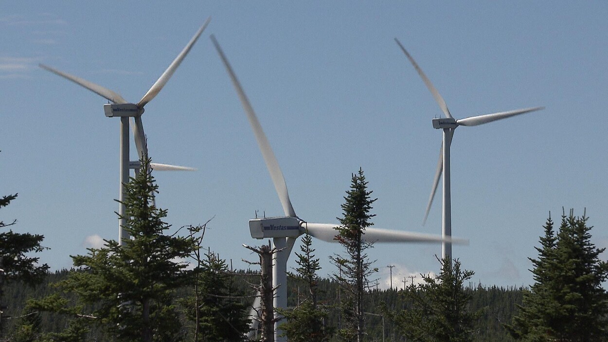 Trois éoliennes s'élèvent au-dessus de la cime des arbres dans un ciel bleu.
