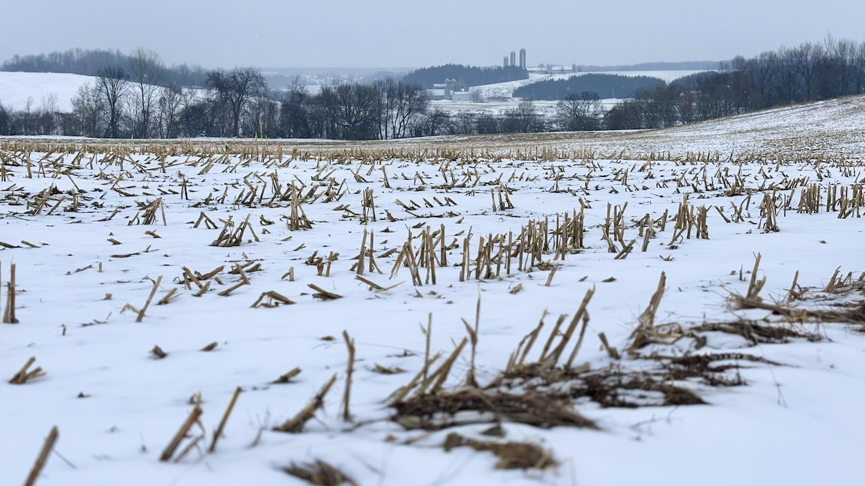 L’UPA réclame des balises claires pour les projets éoliens d’Hydro-Québec