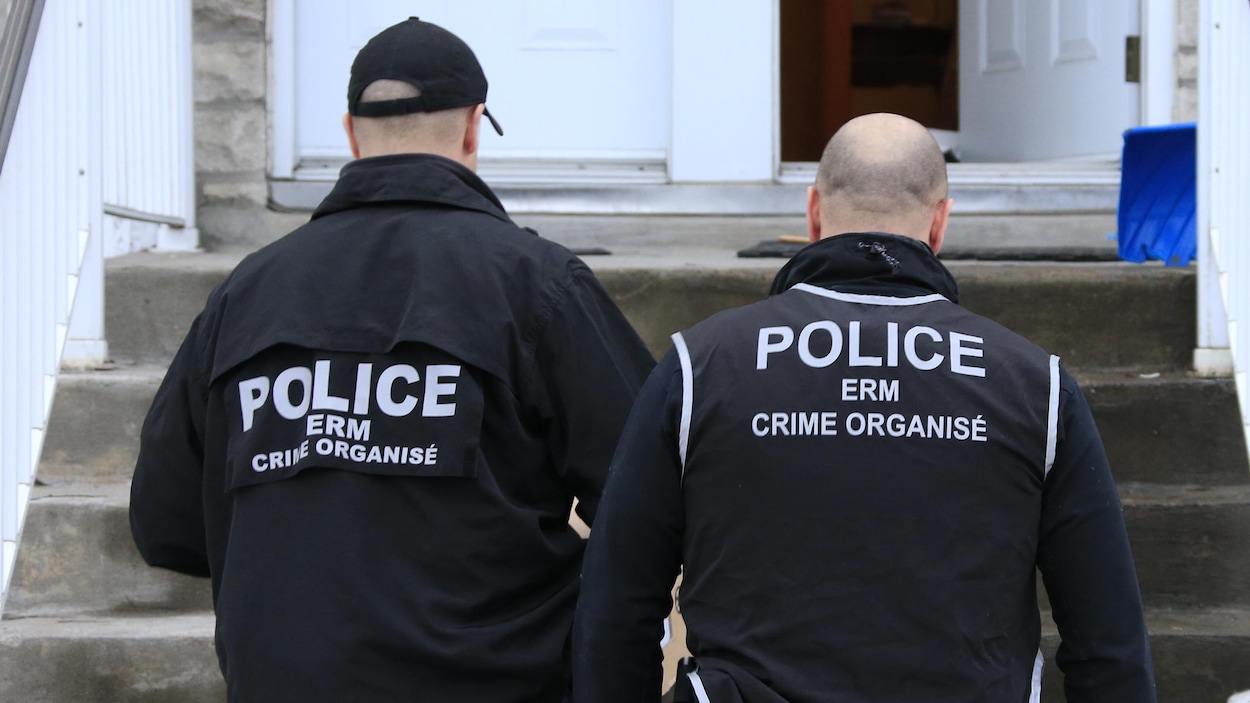 Groupe lié aux Hells Angels : les policiers saisissent de la drogue et des armes