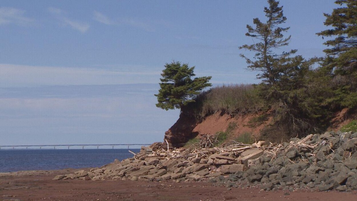 Un bord de mer de l'Île-du-Prince-Édouard avec au loin une vue du pont de la Confédération.