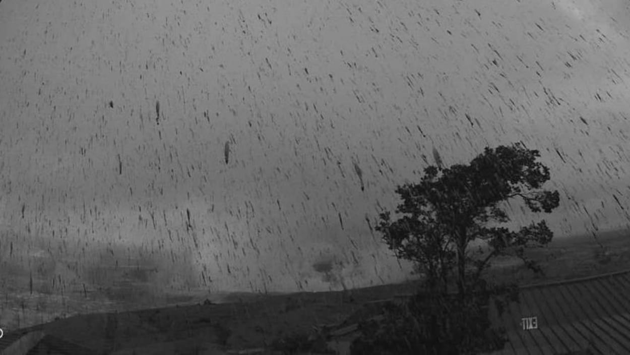 Une pluie de centres dans le ciel et sur un arbre après une explosion au sommet du volcan hawaïen Kilauea.