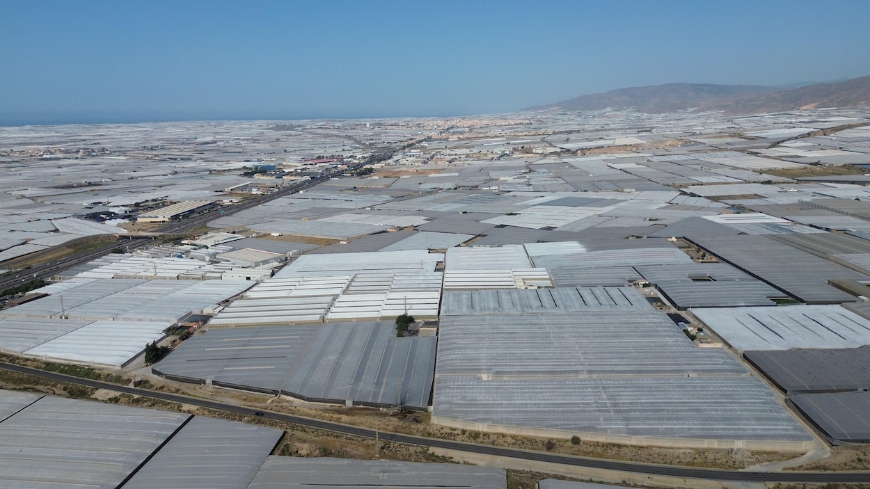 Quand le potager de l’Europe génère des crises humanitaires et environnementales