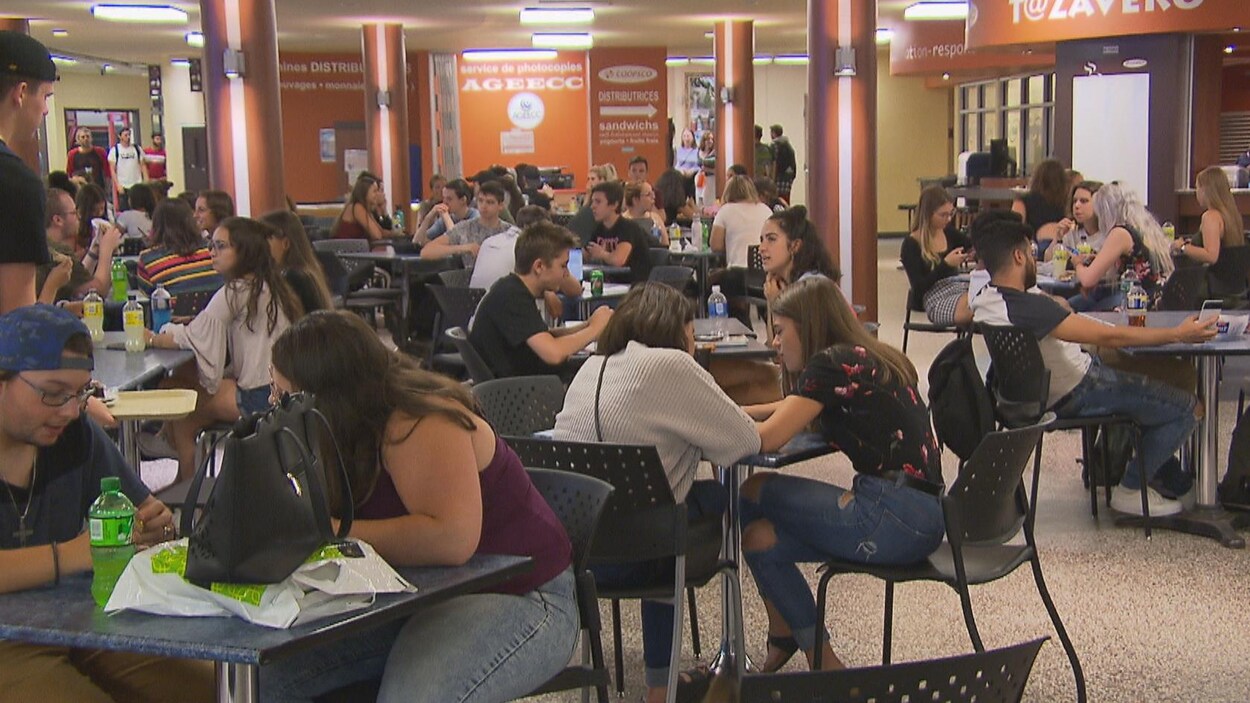 Des étudiants discutent assis à des tables.