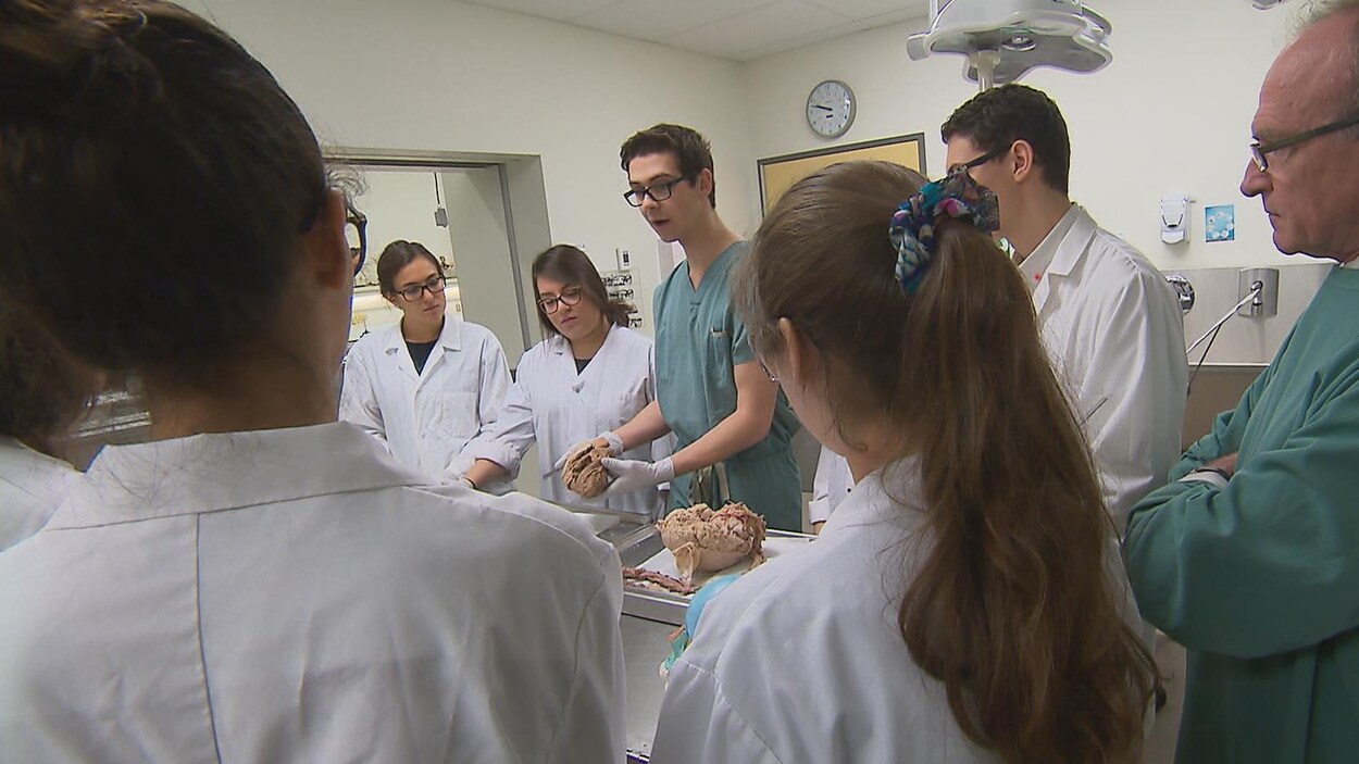Étudiants en médecine Étudiants en médecine