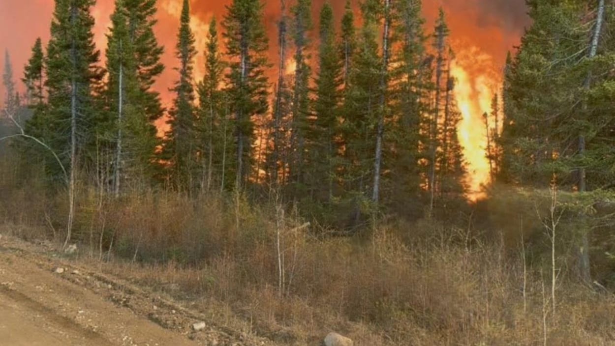 Feux de forêt : le brasier « Timmins 9 » brûle maintenant sur 1100 hectares