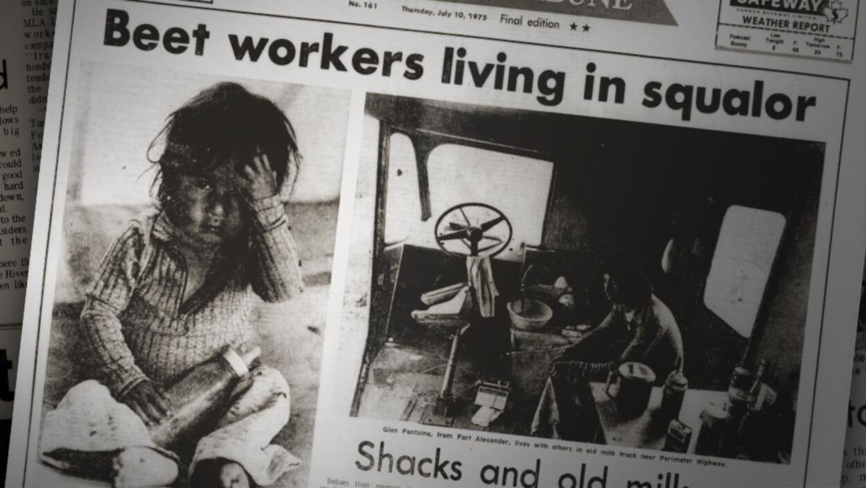 Un article sur le système d'exploitation des autochtones dans les fermes de betteraves paru en 1975. Un article sur le système d'exploitation des autochtones dans les fermes de betteraves paru en 1975.