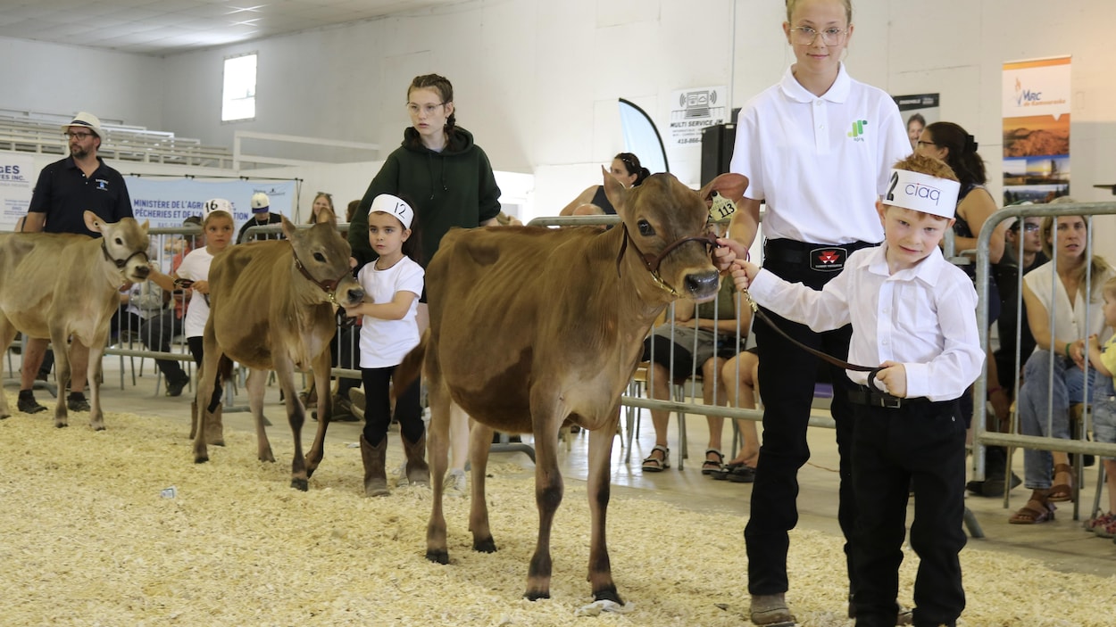 L’exposition agricole de Saint-Pascal fait briller la relève