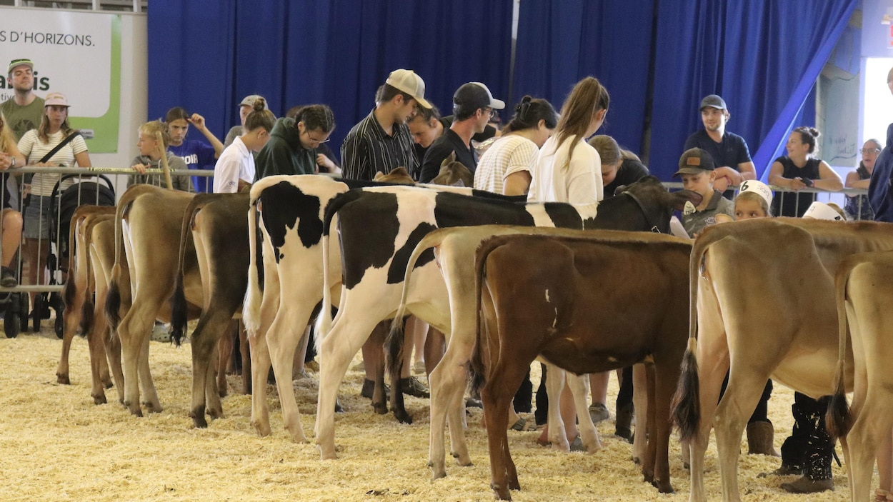 L’Expo de Saint-Pascal donne la piqûre aux plus jeunes