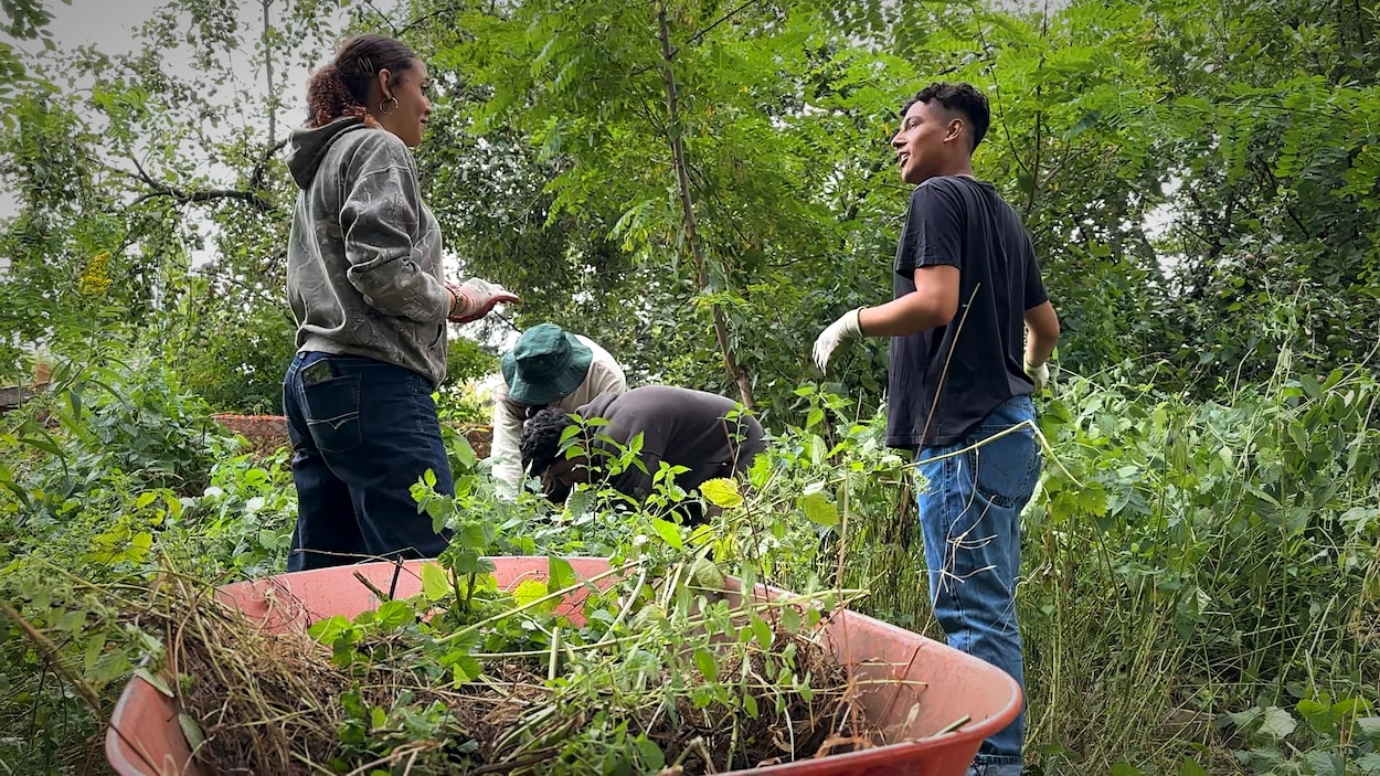 Faire des jeunes des gardiens de l’environnement