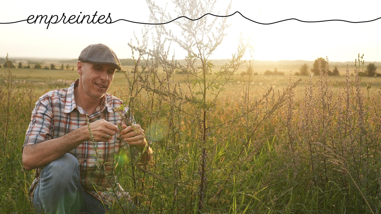 Racines, insectes et sagesses boréales