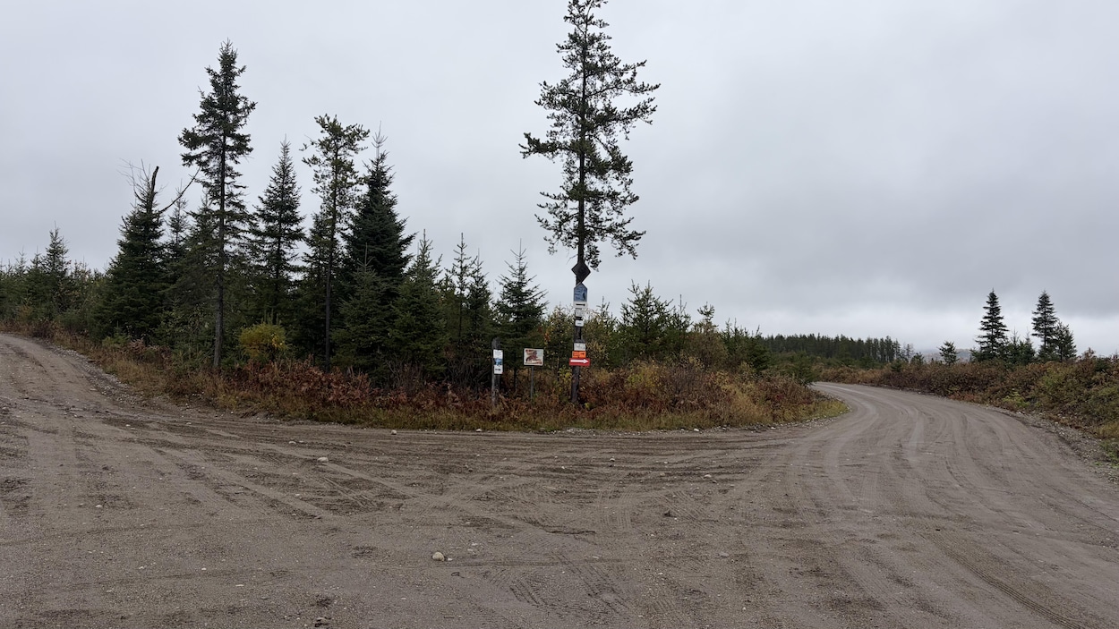 Une collecte de déchets aux portes nouvellement instaurée suspendue pour l’hiver