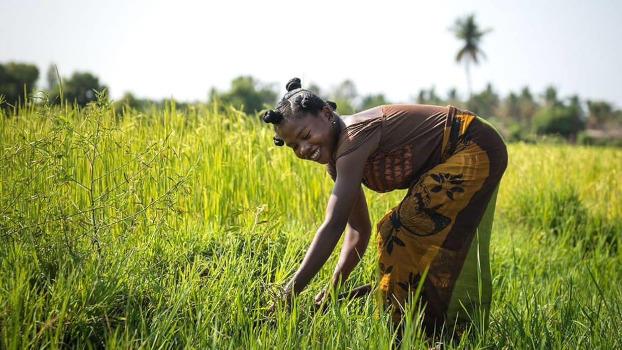 Une femme noire souriante qui travaille dans un champ.