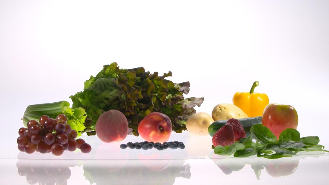 Des fruits et des légumes variés.