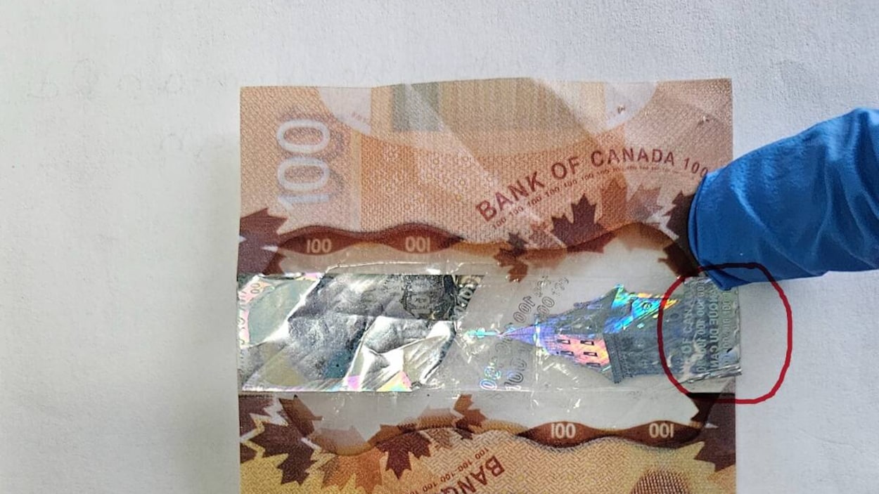 Attention aux faux billets de banque qui circulent à Moncton
