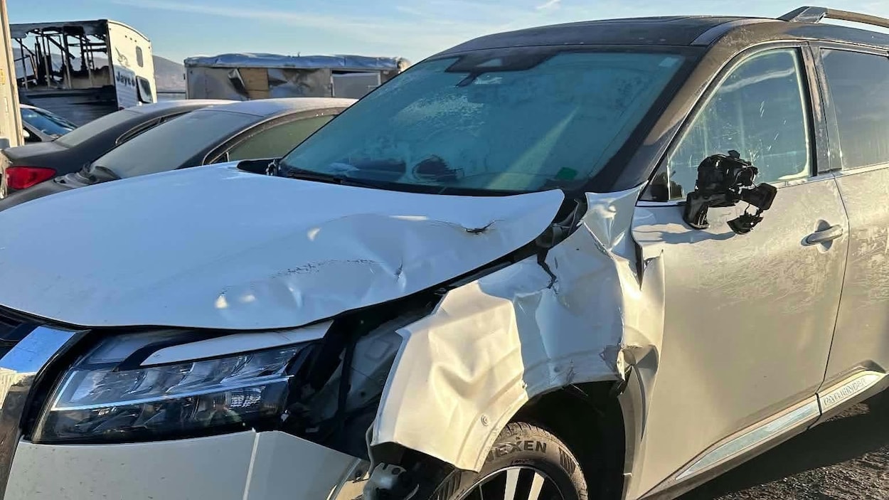 Sur le point d’accoucher, elle percute un orignal en route vers l’hôpital de Bathurst