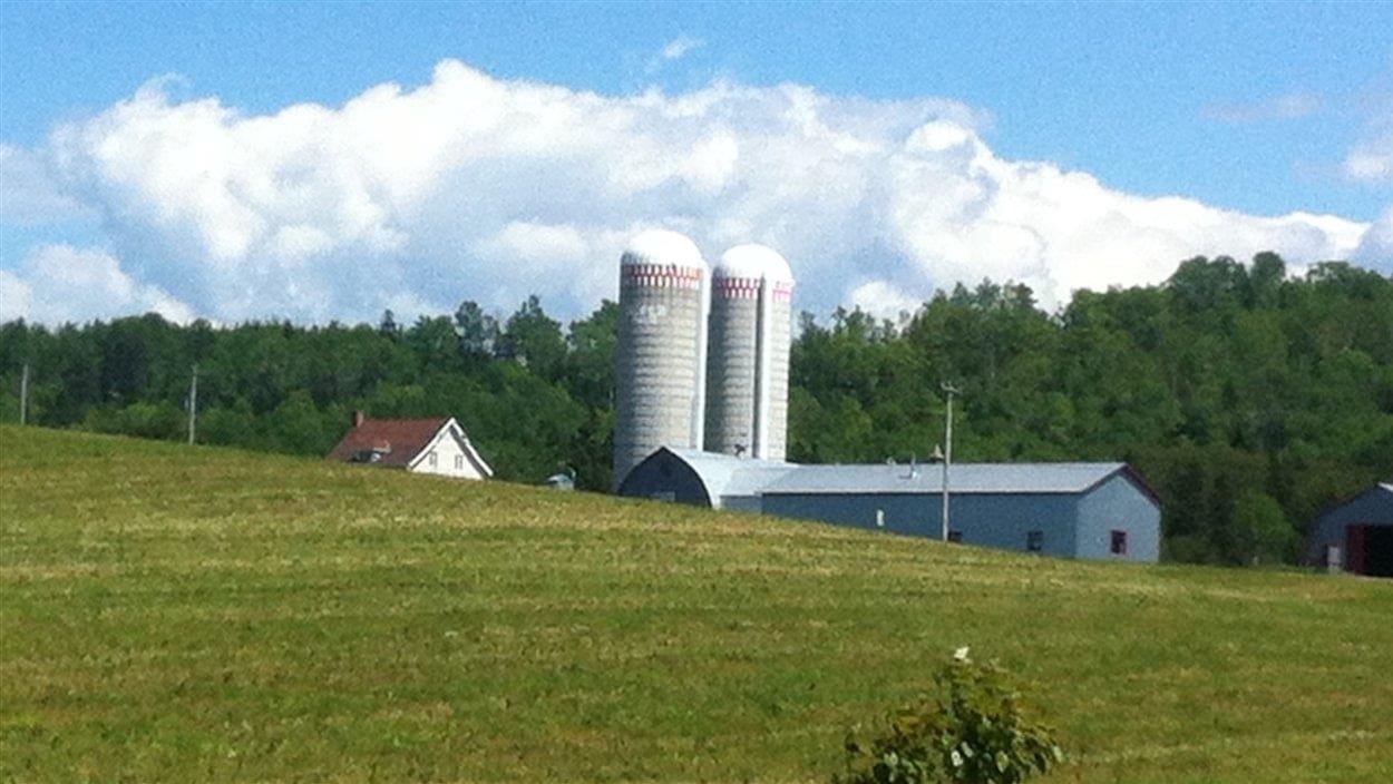 Ferme et champ du Bas-Saint-Laurent.