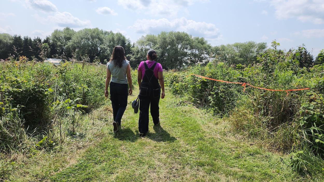 La relève agricole prend racine à Métabetchouan-Lac-à-la-Croix