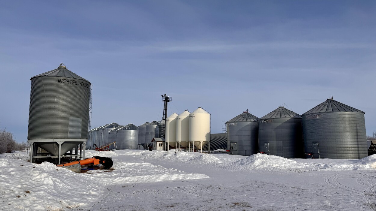 L’hiver, la saison de préparation et de gestion pour les producteurs