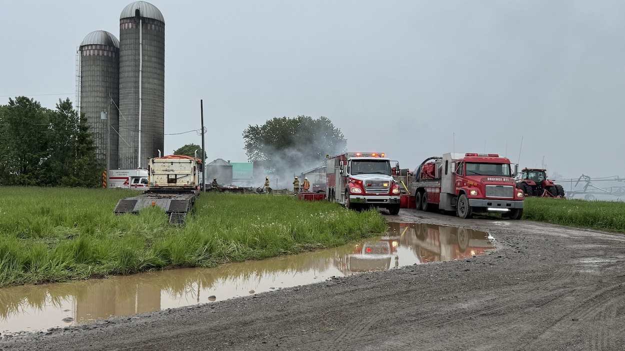 80 vaches périssent dans un incendie dans Les Basques