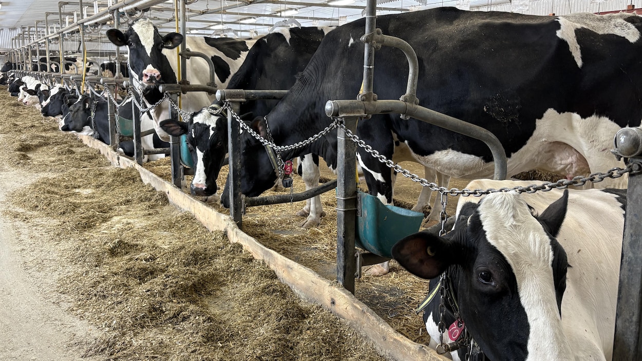 Le prix du pétrole inquiète les producteurs agroalimentaires de la région