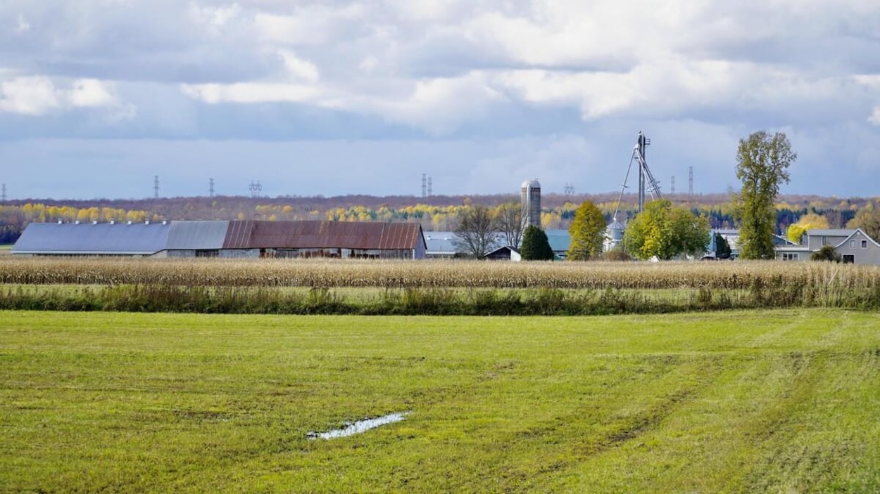 Revealing the causes of death of a worker at Norlou Farm