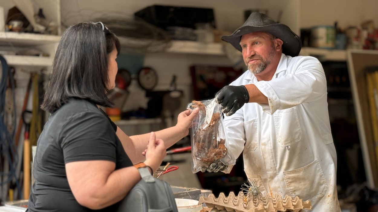 Du poulet frit directement à la ferme