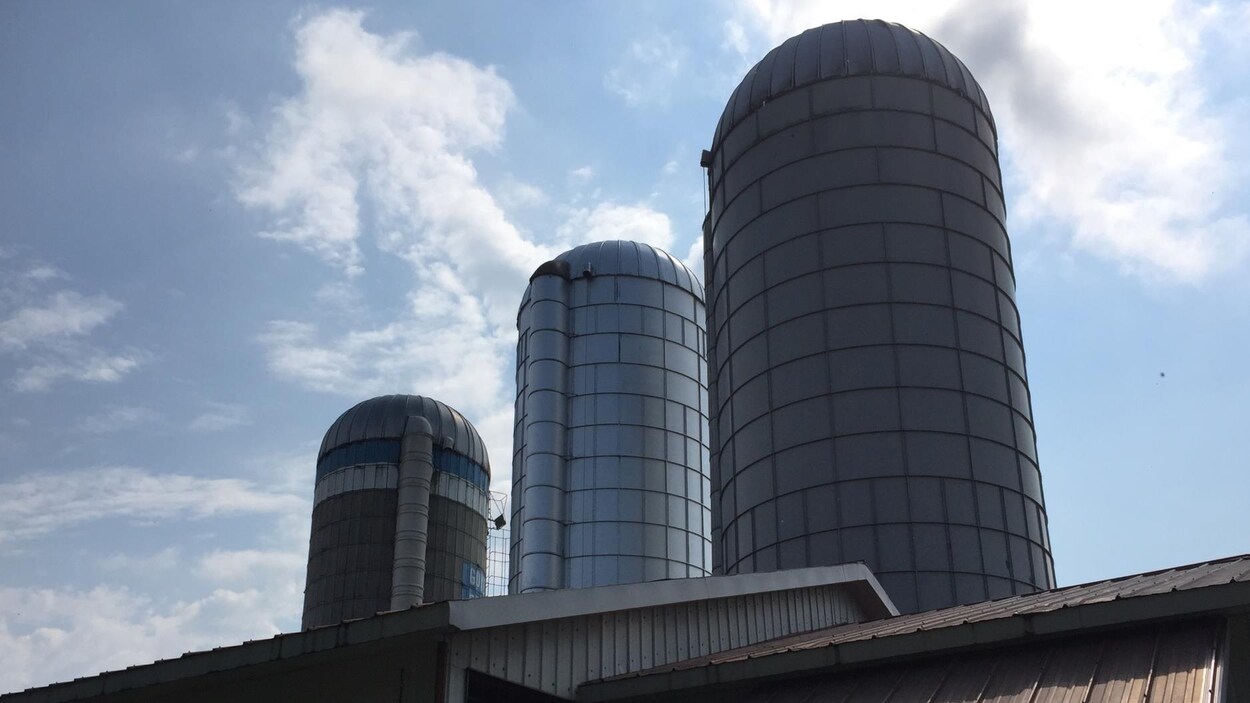 Une ferme agricole