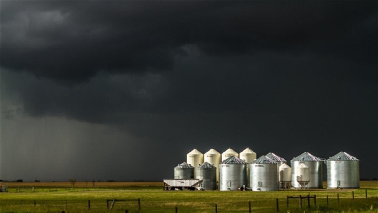 Des silos dans une ferme de l'Alberta.