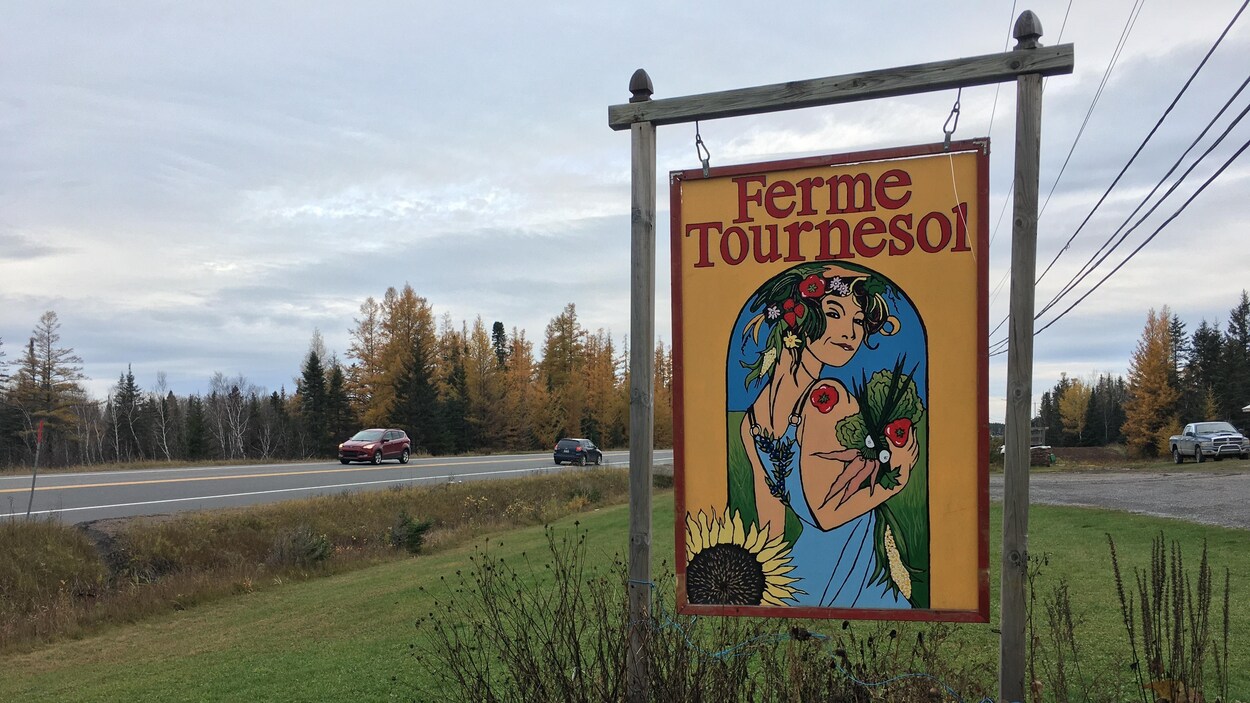 Une affiche sur laquelle est écrit Ferme Tournesol, en bordure d'une route.