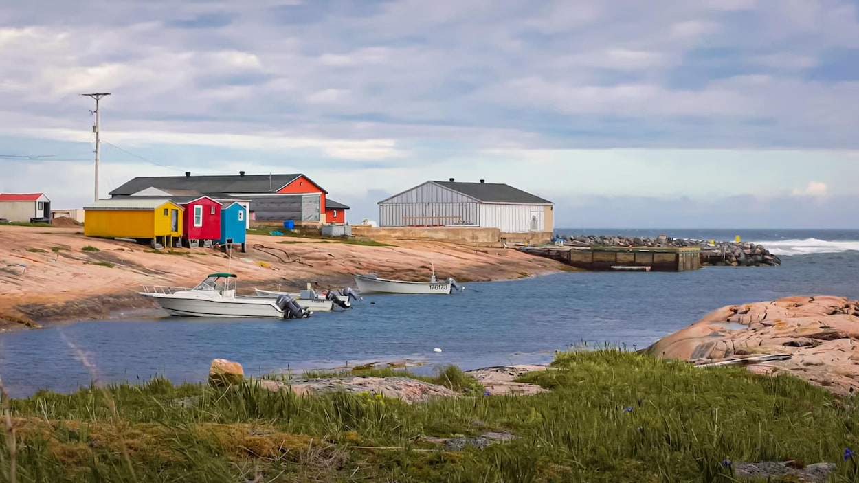 500 tonnes de fruits de mer produits sans autorisation : une usine pincée par Québec