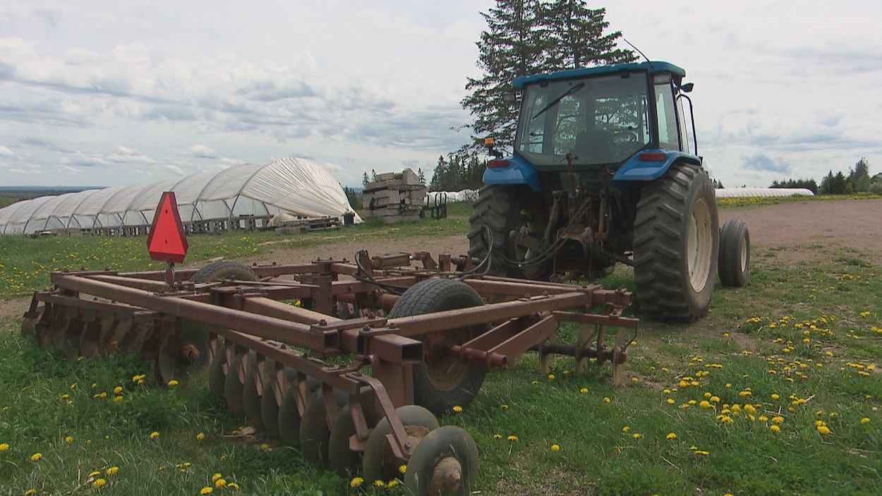 Un tracteur sur le terrain d'une ferme.