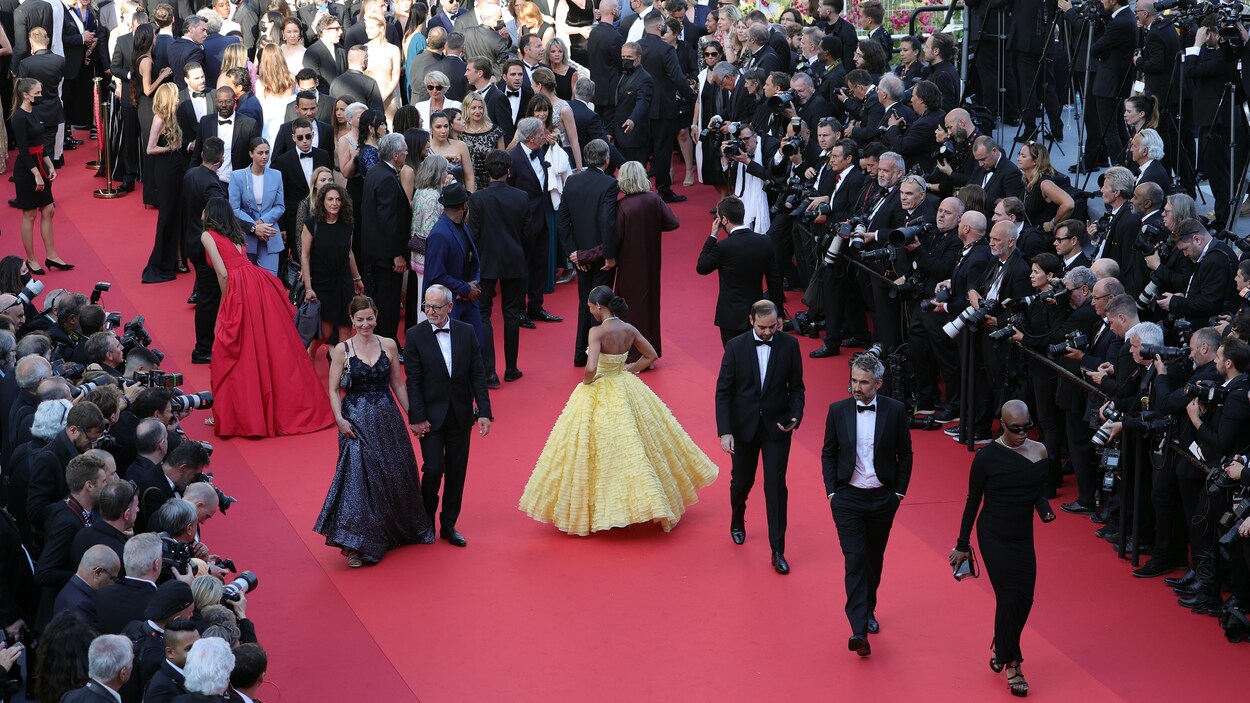 De Saskatoon au tapis rouge de Cannes : un rêve capillaire qui devient réalité