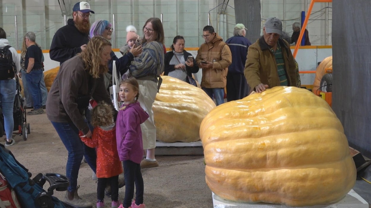 Festival des citrouilles à Roland