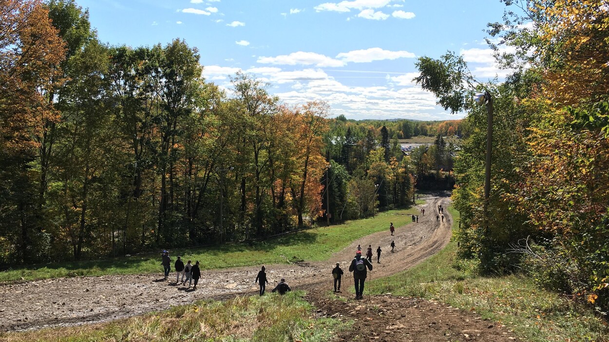 des marcheurs contemplent les couleurs d'automne dans un sentier.