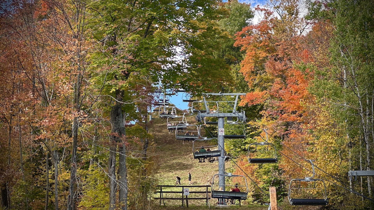 Le Festival des couleurs de Vallée du parc, un incontournable automnal