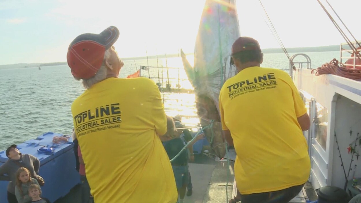 Deux hommes sur un bateau avec leur prise, un gros thon accroché la tête en bas.