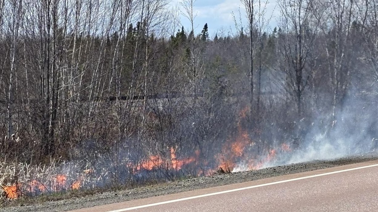 Plusieurs feux de broussailles dans le secteur de Rogersville mardi