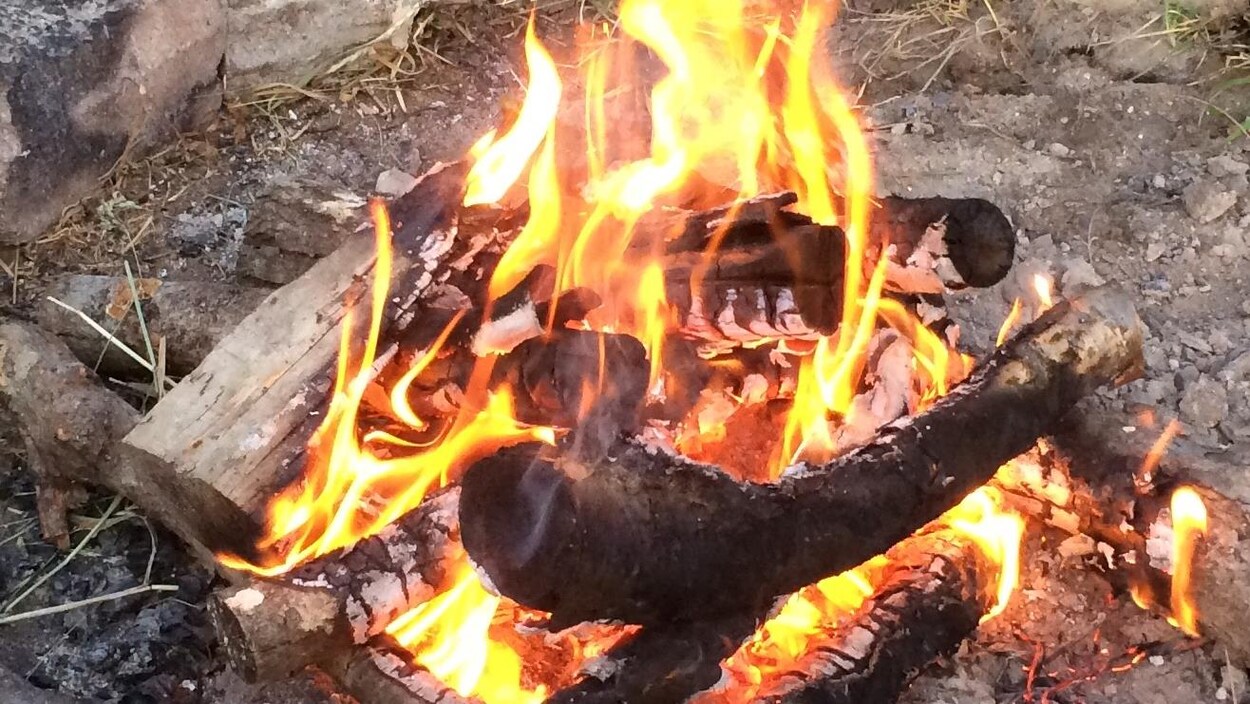 Feu de camp