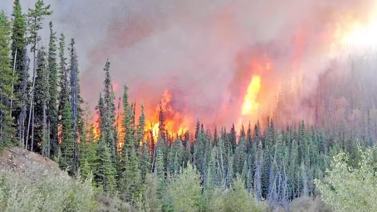 Incendies dans les Territoires du Nord-Ouest, Ottawa somme Meta de cesser  le blocage des nouvelles canadiennes