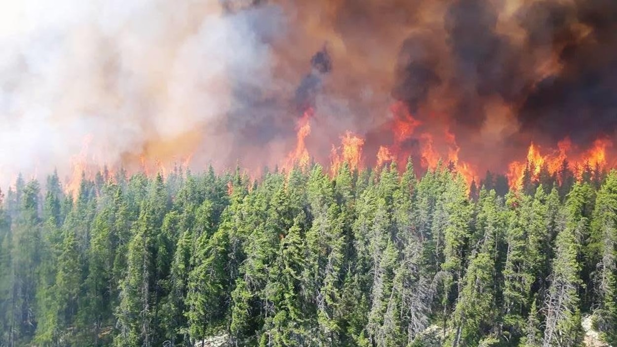 Des flammes s'élèvent au dessus d'une rangée d'arbres dans le secteur de Labrieville. Des flammes s'élèvent au dessus d'une rangée d'arbres dans le secteur de Labrieville.