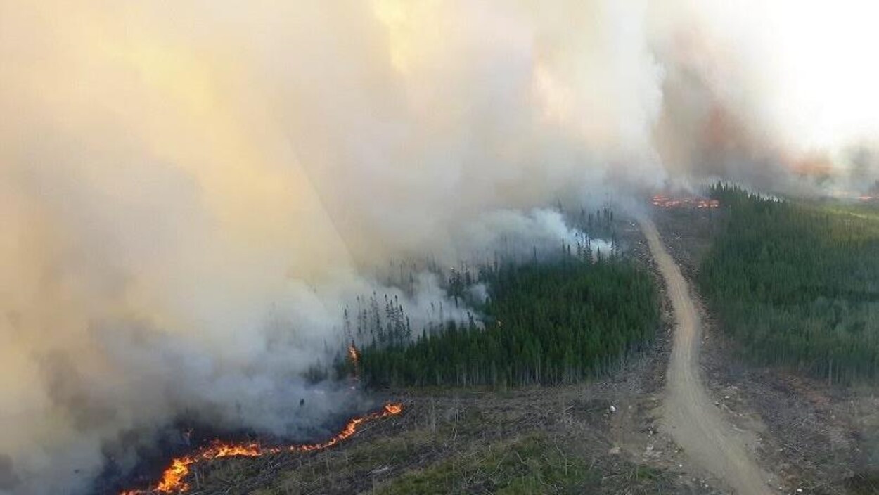 Une photo aérienne montrant une partie d'un feu de forêt.