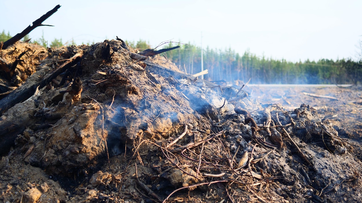 La Saskatchewan investira 20 M$ dans des communautés dévastées par les feux de forêt