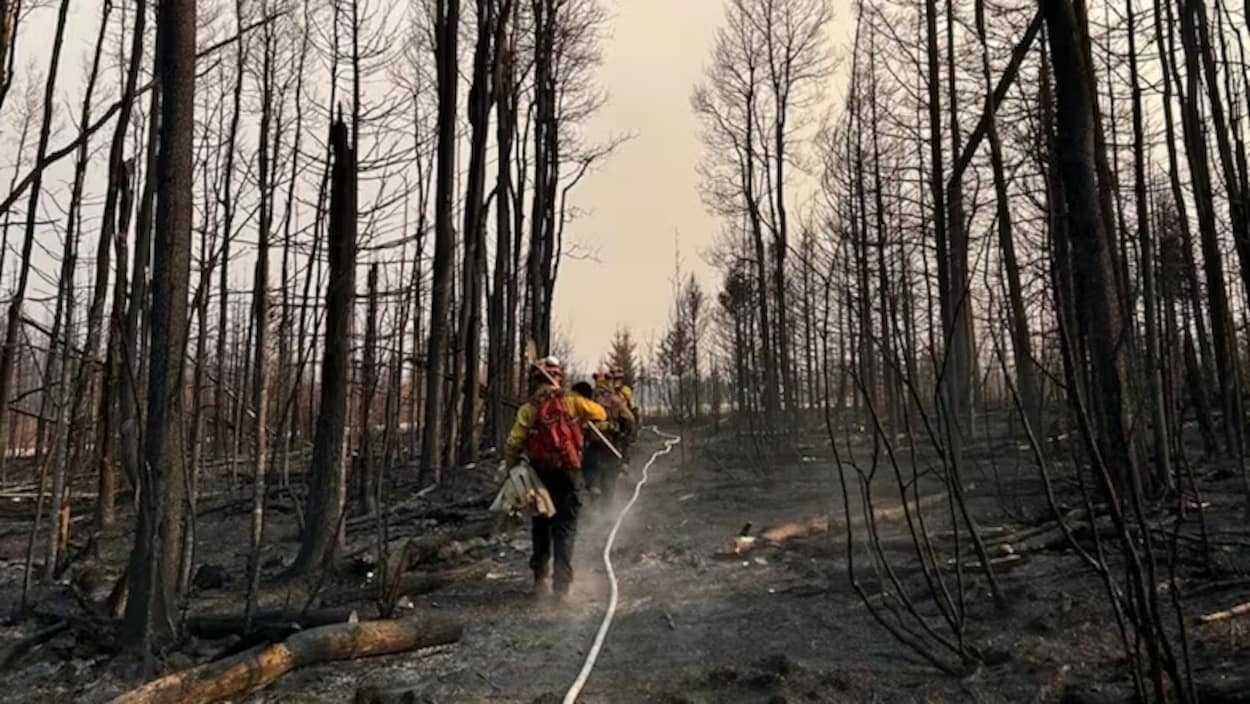 Une cinquantaine de pompiers du N.-B. en renfort dans l’Ouest du pays