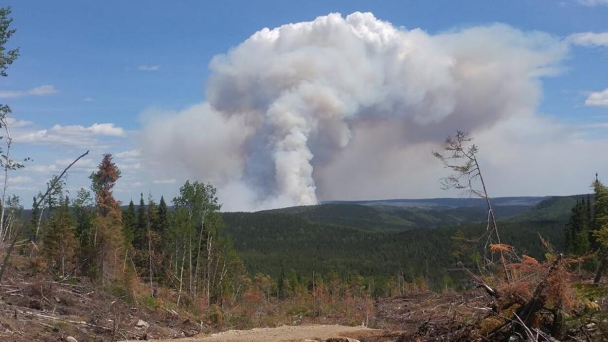 Une photo du feu de forêt prise mardi