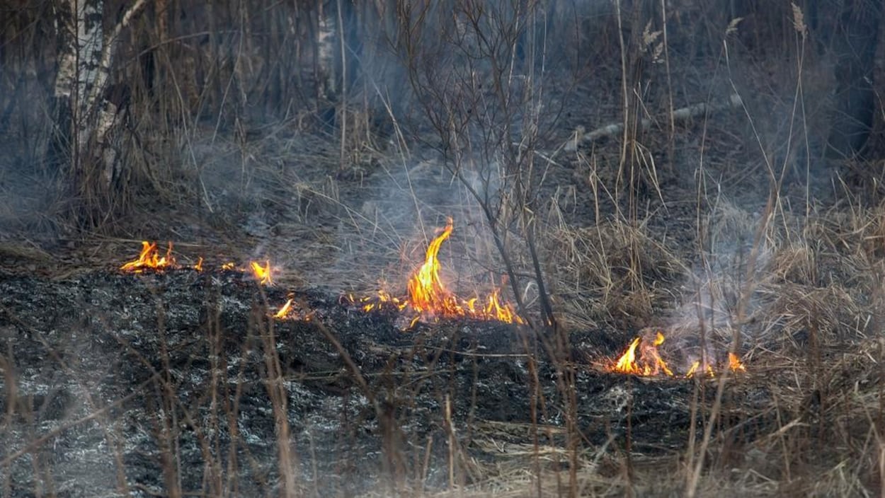 Risques élevés de feux de broussailles dans le sud du Québec, selon la SOPFEU