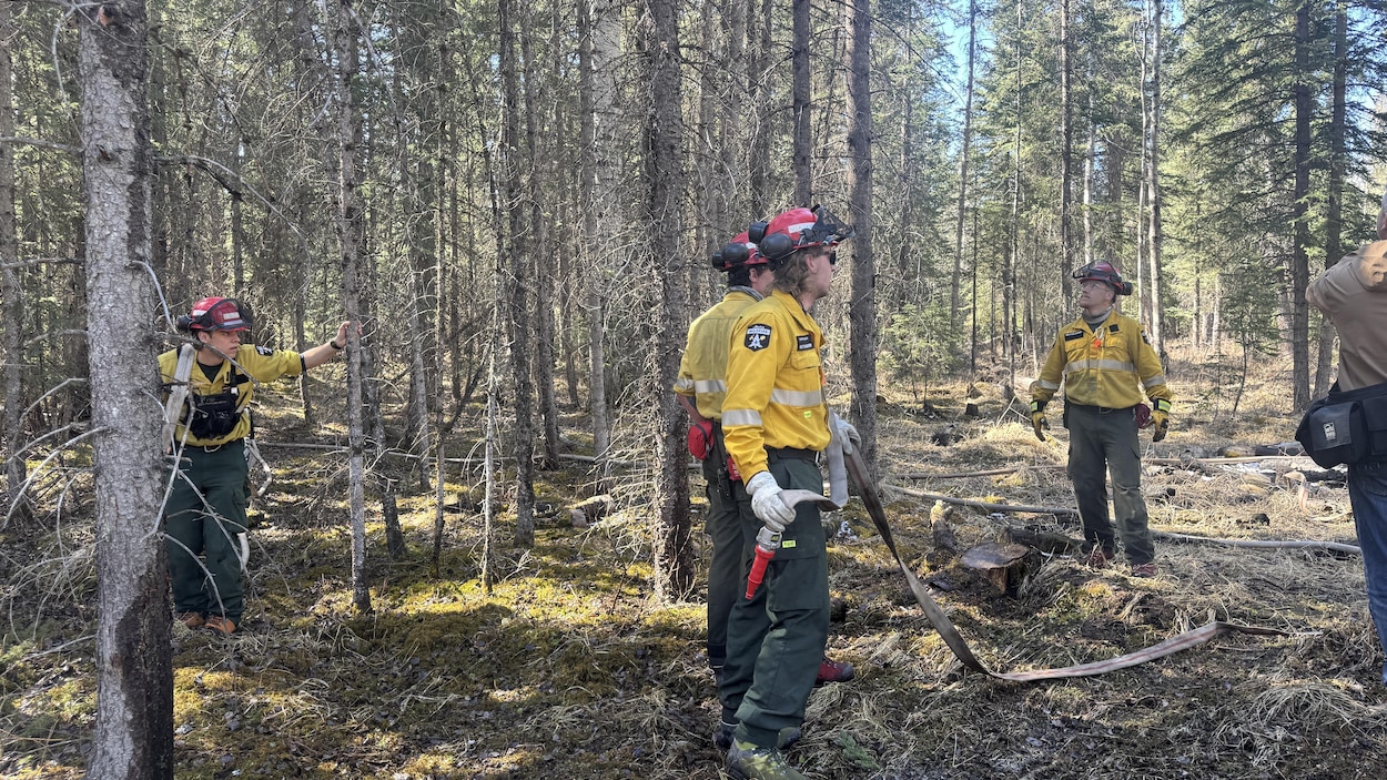 Baptême du feu pour les recrues de la lutte contre les incendies de forêt