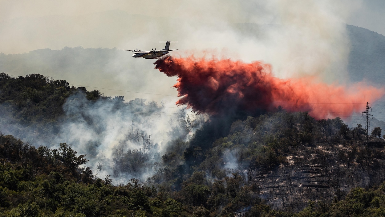 Des feux de forêt sévissent toujours en France, en Espagne et au Portugal