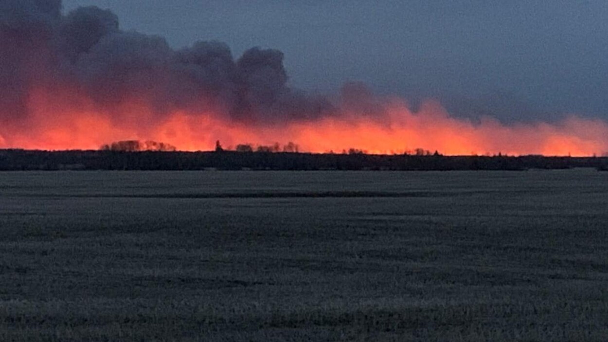Un horizon de forêt au-dessus de laquelle une lumière rouge est reflétée sur des nuages de fumée dense près du sol avec un champ en avant-plan.