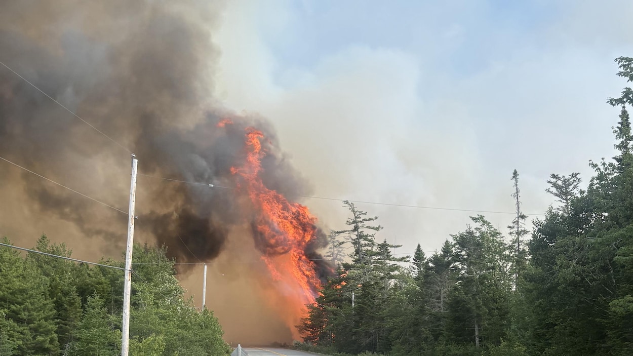 Le feu de forêt au nord-est d’Halifax n’est toujours pas maîtrisé